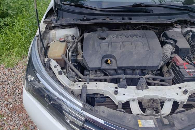 Used Toyota Corolla 2014 1.6L CVT GL-i Engine Bay Right