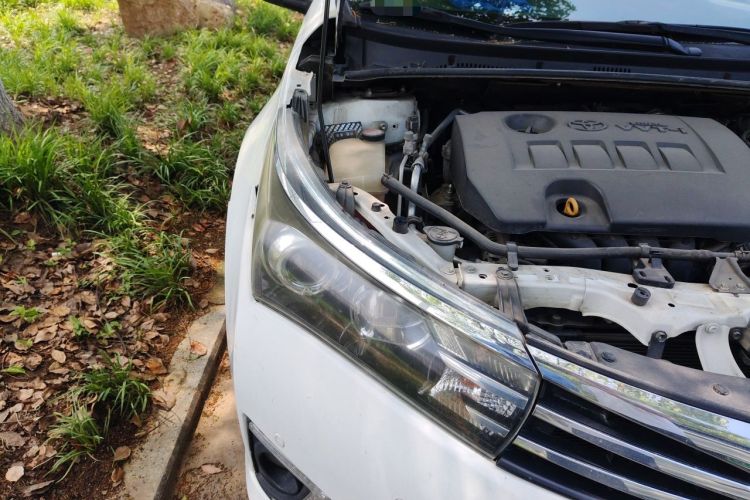 Used Toyota Corolla 2014 1.6L CVT GL-i Leather Edition Engine Bay Right