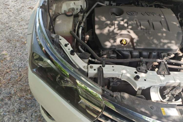 Used Toyota Corolla 2014 1.6L CVT GL Engine Bay Right