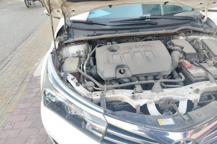 Used Toyota Corolla 2014 1.6L CVT GL-i Engine Bay Right