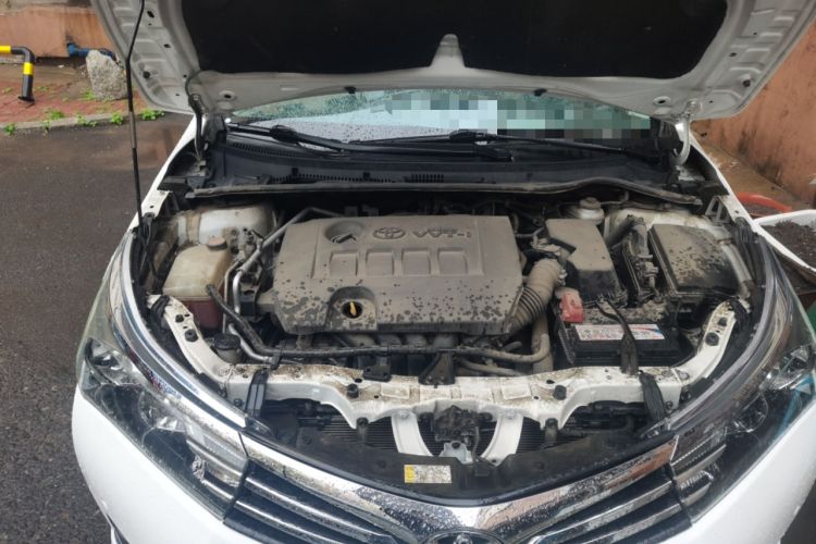 Used Toyota Corolla 2014 1.6L CVT GL-i Engine Bay Right