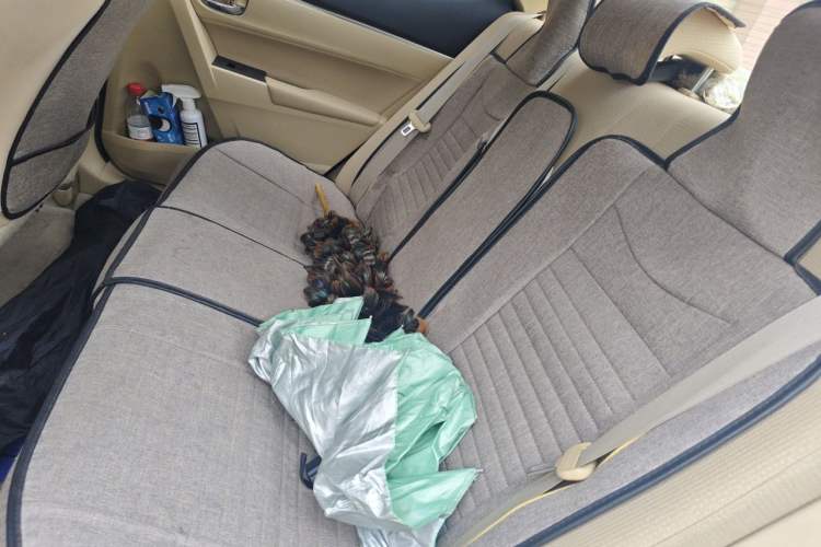 Used Toyota Corolla 2014 1.6L CVT GL-i Left Rear Seat