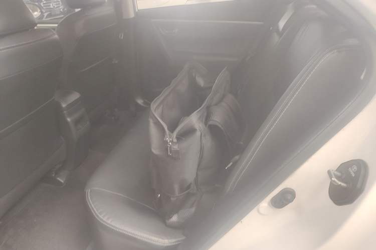 Used Toyota Corolla 2014 1.6L CVT GL-i Leather Edition Left Rear Seat