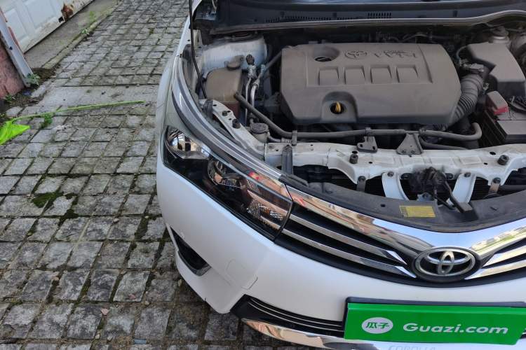 Used Toyota Corolla 2014 1.6L CVT GL-i Leather Edition Right Front Headlight