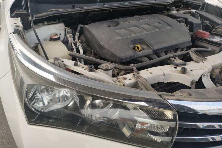 Used Toyota Corolla 2014 1.6L CVT GL-i Leather Edition Right Front Headlight