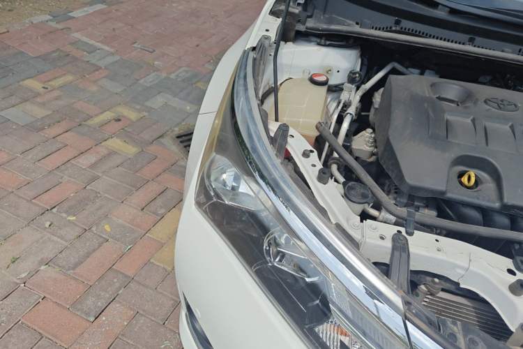 Used Toyota Corolla 2014 1.6L CVT GL-i Leather Edition Right Front Headlight