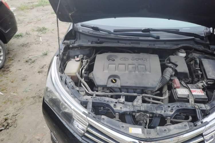 Used Toyota Corolla 2016 1.6L Manual GL-i Cool Edition Engine Bay Right