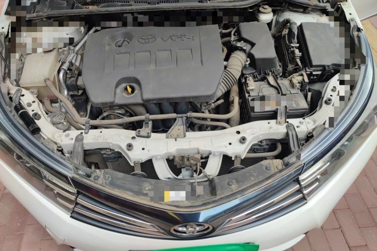 Used Toyota Corolla 2016 1.6L CVT GL-i Cool Edition Engine Bay