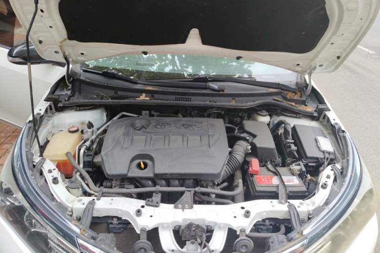 Used Toyota Corolla 2016 1.6L CVT GL-i Cool Edition Engine Bay