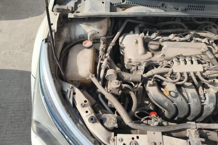 Used Toyota Corolla 2016 1.6L CVT GL-i Cool Edition Engine Bay Right