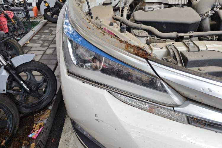 Used Toyota Corolla 2016 Dual-Engine 1.8L E-CVT Leading Edition Right Front Headlight