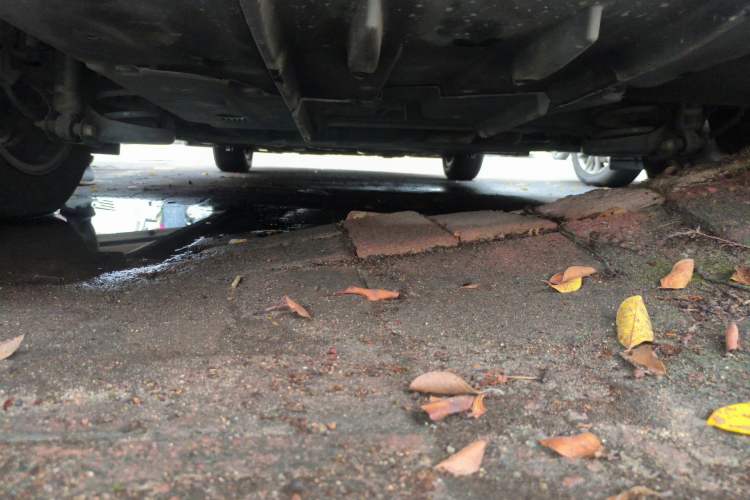 Used Toyota Corolla 2017 1.2T CVT GL-i Chassis Rear