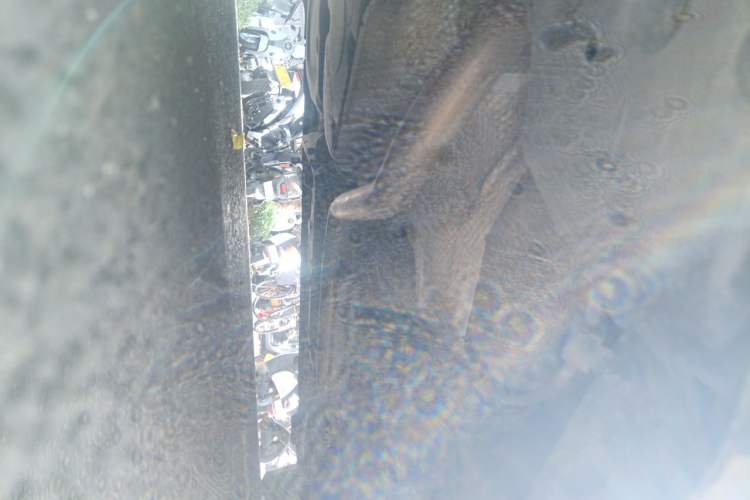 Used Toyota Corolla 2017 1.2T CVT GL Chassis Rear Right