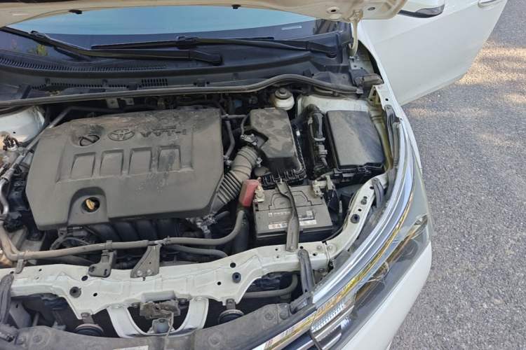 Used Toyota Corolla 2017 Revised Version 1.6L S-CVT GL Engine Bay Left