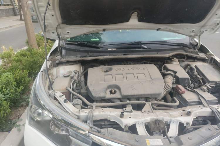 Used Toyota Corolla 2017 1.6L CVT GL Engine Bay Right