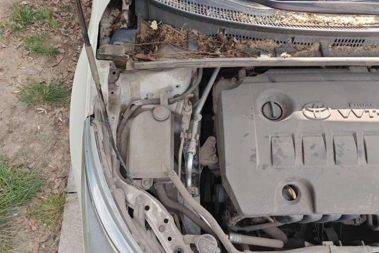 Used Toyota Corolla 2017 1.6L CVT GL Engine Bay Right