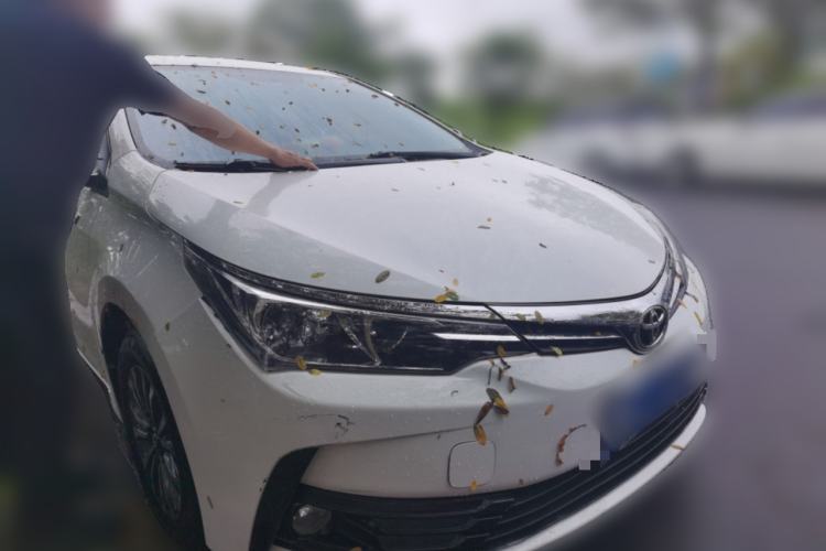 Used Toyota Corolla 2017 Revised Version 1.2T S-CVT GL Front Right 45 Deg