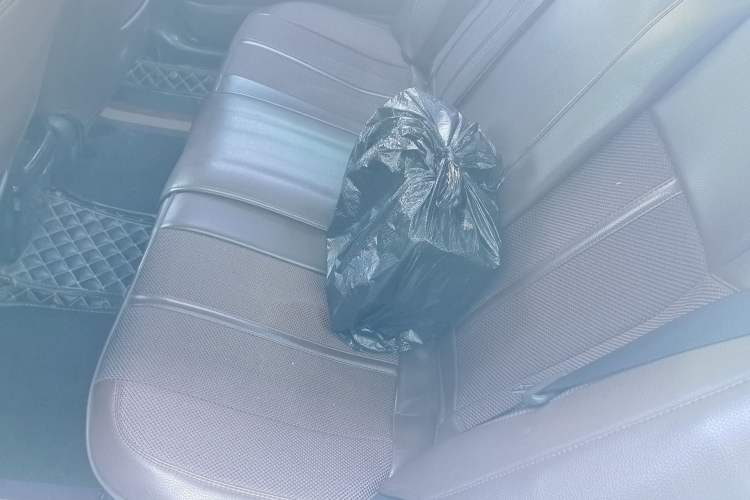 Used Toyota Corolla 2017 Revised Dual-Engine 1.8L E-CVT Elite Edition Left Rear Seat
