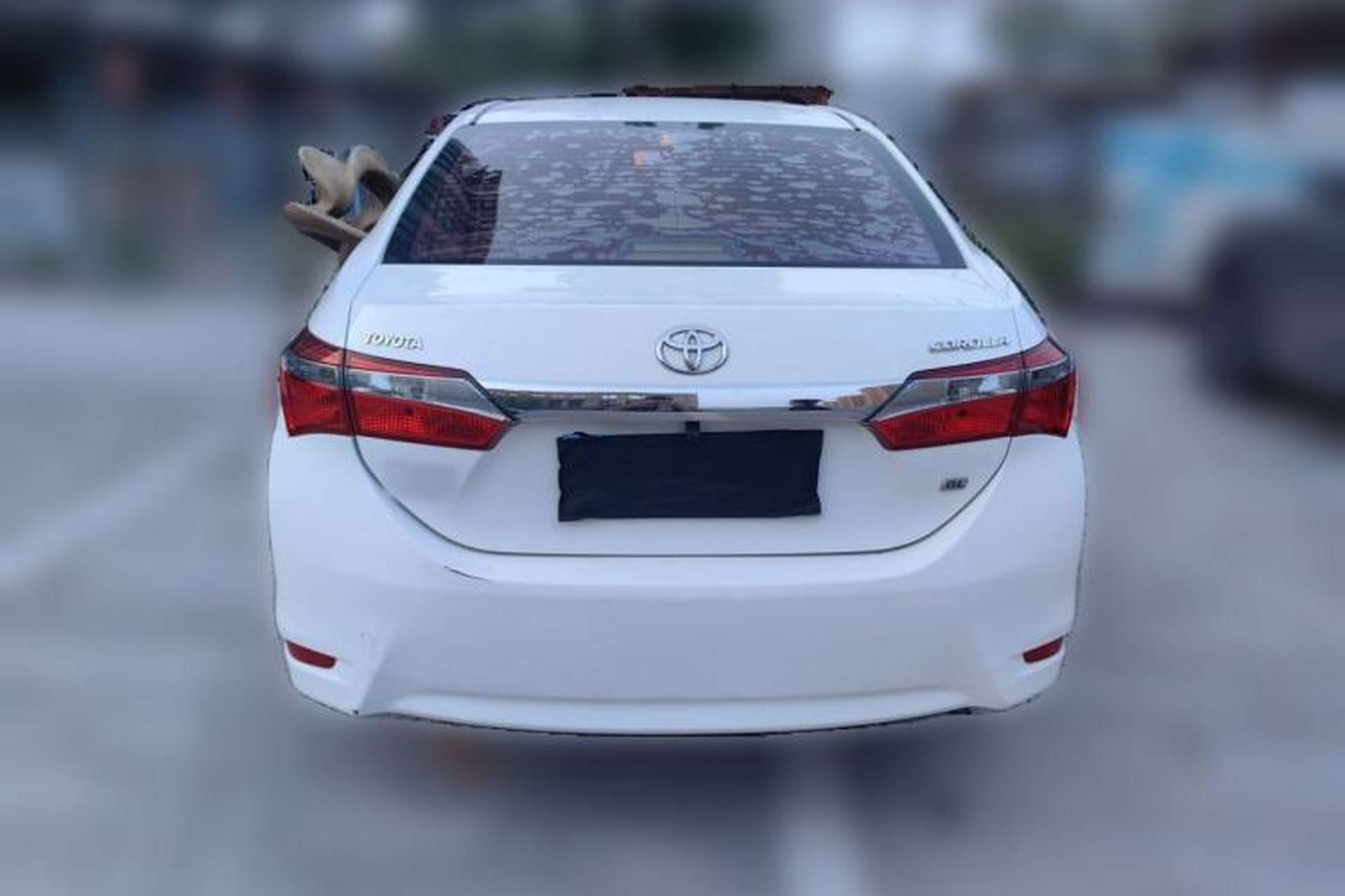 Used Toyota Corolla 2017 Revised Version 1.6L S-CVT GL Rear