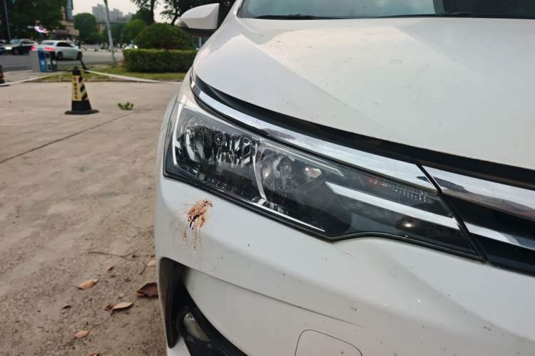 Used Toyota Corolla 2017 Revised Version 1.2T S-CVT GL Right Front Headlight