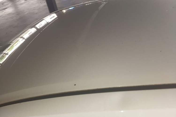 Used Toyota Corolla 2017 Revised Version 1.2T S-CVT GL Roof
