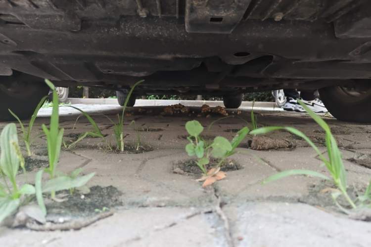 Used Toyota Corolla 2018 1.2T S-CVT GL Smart Enjoyment Version Chassis Front