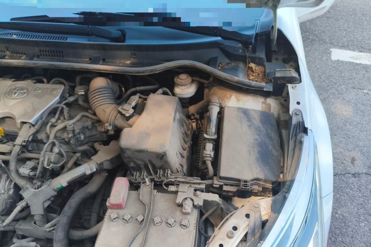 Used Toyota Corolla 2018 1.2T S-CVT GL-i Zhihui Edition Engine Bay Left