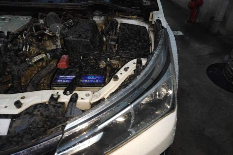 Used Toyota Corolla 2018 1.2T S-CVT GL Smart Enjoyment Version Engine Bay Left