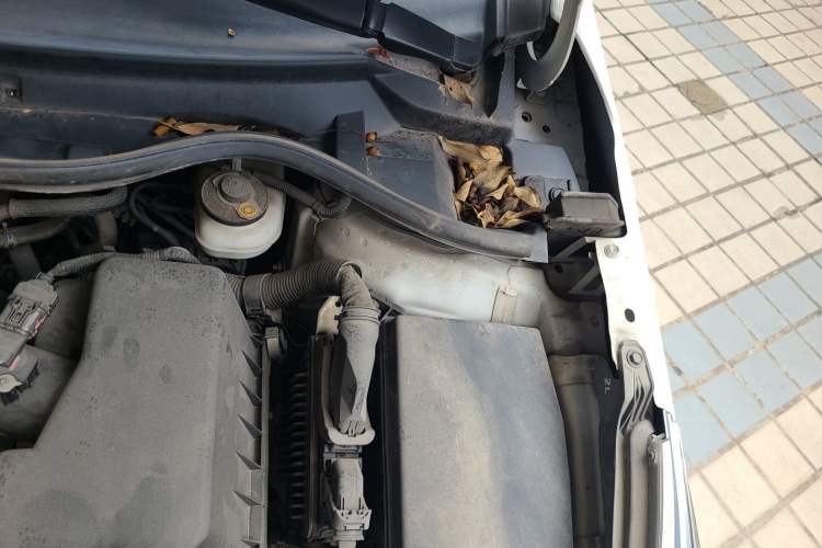 Used Toyota Corolla 2018 1.2T S-CVT GL Smart Enjoyment Version Engine Bay Left