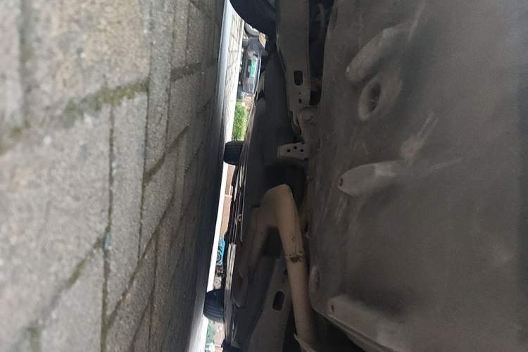 Used Toyota Corolla 2019 Dual-Engine 1.8L E-CVT GL-i Elite Edition Chassis Rear