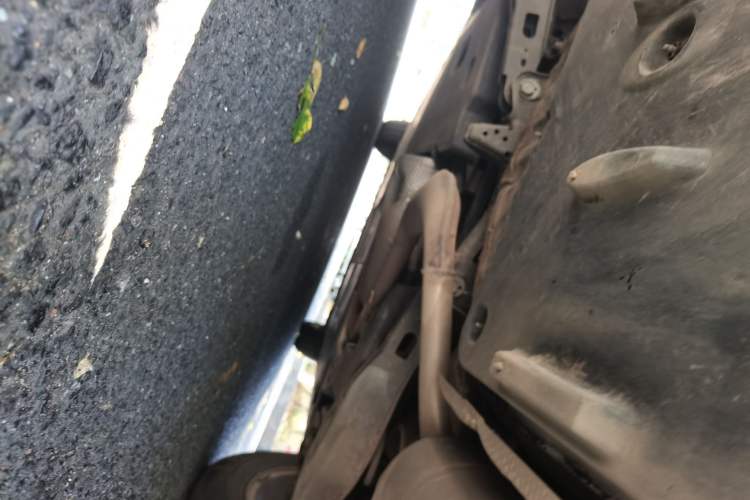 Used Toyota Corolla 2019 1.2T S-CVT GL-i Elite Edition Chassis Rear