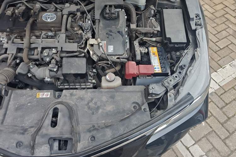 Used Toyota Corolla 2019 Dual-Engine 1.8L E-CVT GL-i Elite Edition Engine Bay Left
