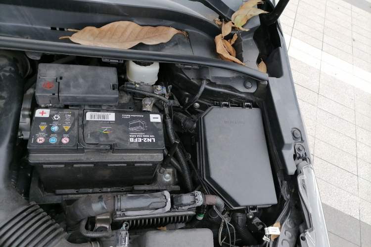 Used Toyota Corolla 2019 1.2T S-CVT GL-i Elite Edition Engine Bay Left