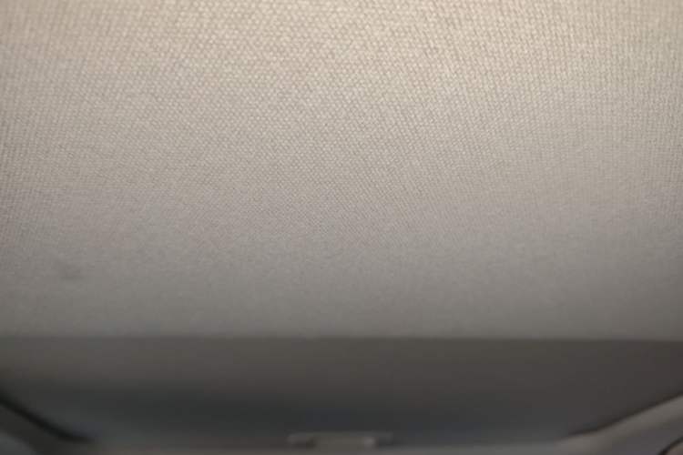 Used Toyota Corolla 2019 1.2T S-CVT GL-i Elite Edition Headliner
