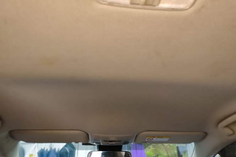Used Toyota Corolla 2019 1.2T S-CVT GL Pioneer Edition Headliner