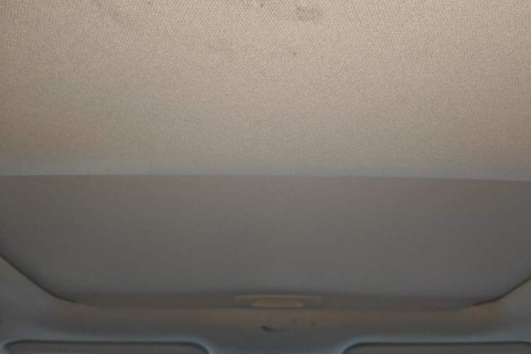 Used Toyota Corolla 2019 1.2T S-CVT GL-i Elite Edition Headliner