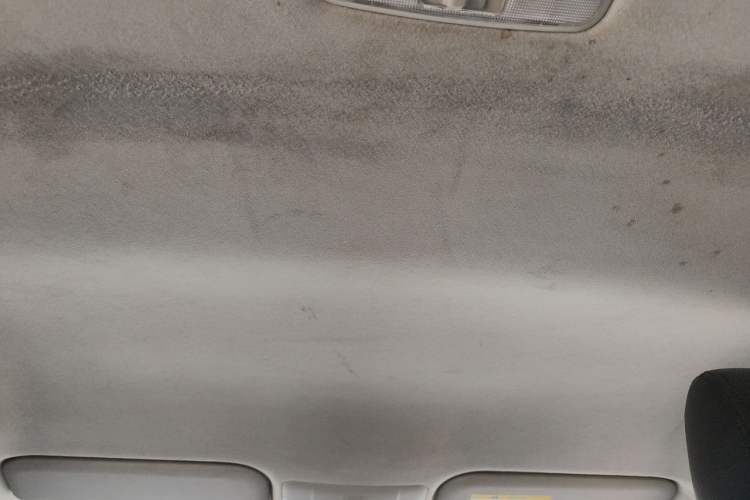 Used Toyota Corolla 2019 1.2T S-CVT GL Pioneer Edition Headliner