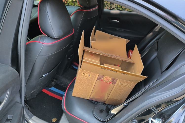 Used Toyota Corolla 2019 1.2T S-CVT GL-i Luxury Edition Left Rear Seat