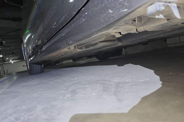 Used Toyota Corolla 2019 1.2T S-CVT GL-i Elite Edition Chassis Rear Left