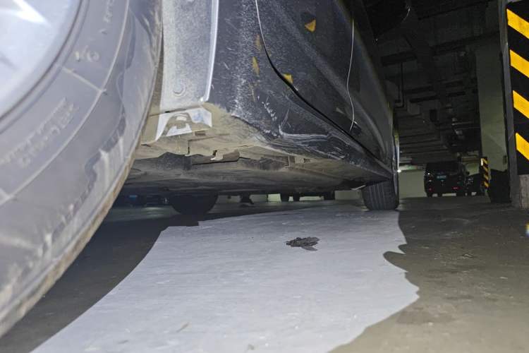 Used Toyota Corolla 2019 1.2T S-CVT GL-i Elite Edition Chassis Rear Right