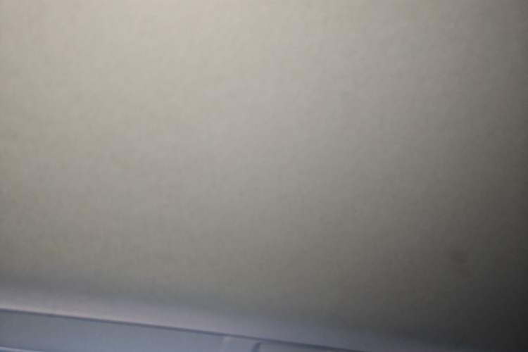 Used Toyota Corolla 2019 1.2T S-CVT GL-i Elite Edition Headliner