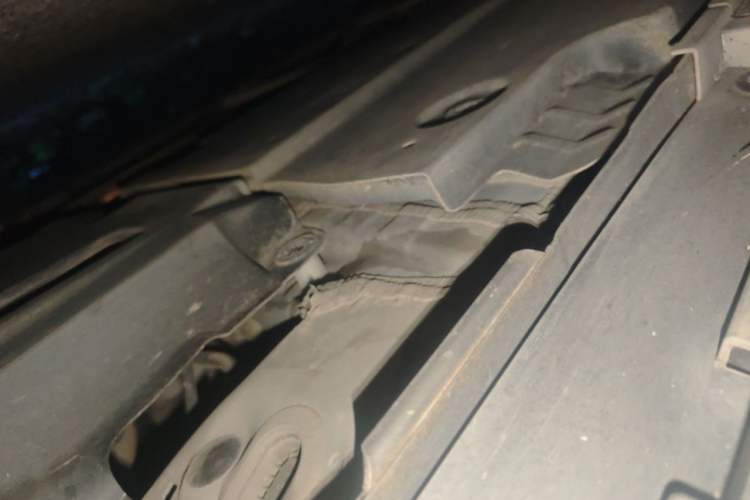 Used Toyota Corolla 2019 1.2T S-CVT GL-i Elite Edition Chassis Rear Left