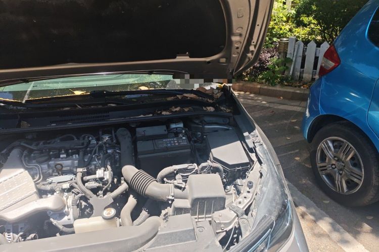 Used Toyota Corolla 2019 1.2T S-CVT GL-i Elite Edition Engine Bay Left