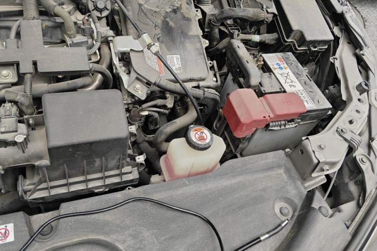 Used Toyota Corolla 2019 Dual-Engine 1.8L E-CVT GL-i Elite Edition Engine Bay Left