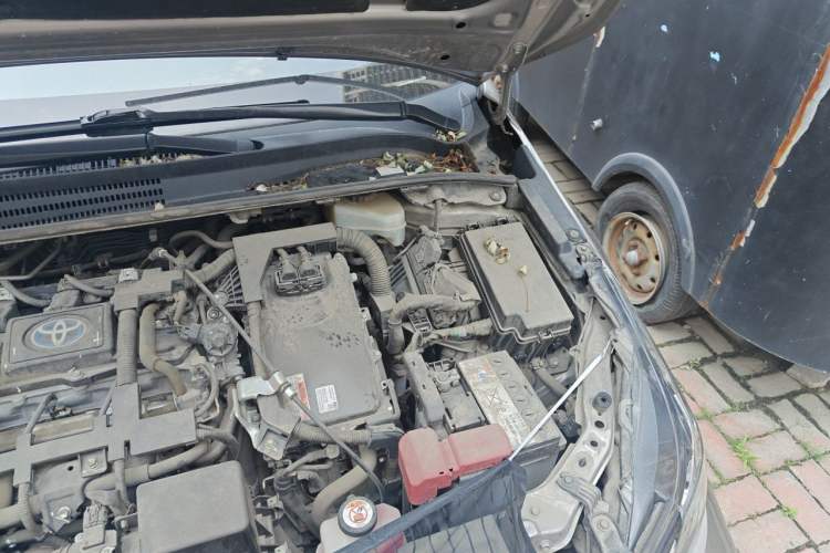 Used Toyota Corolla 2019 Dual-Engine 1.8L E-CVT GL-i Pioneer Edition Engine Bay Left