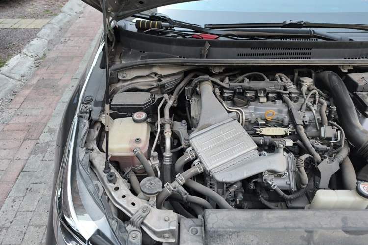 Used Toyota Corolla 2019 1.2T S-CVT GL-i Elite Edition Engine Bay Right