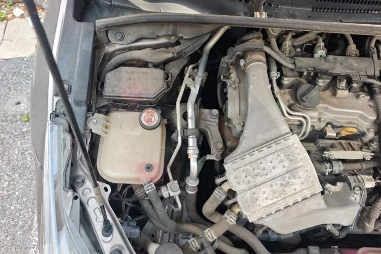 Used Toyota Corolla 2019 1.2T S-CVT GL-i Elite Edition Engine Bay Right