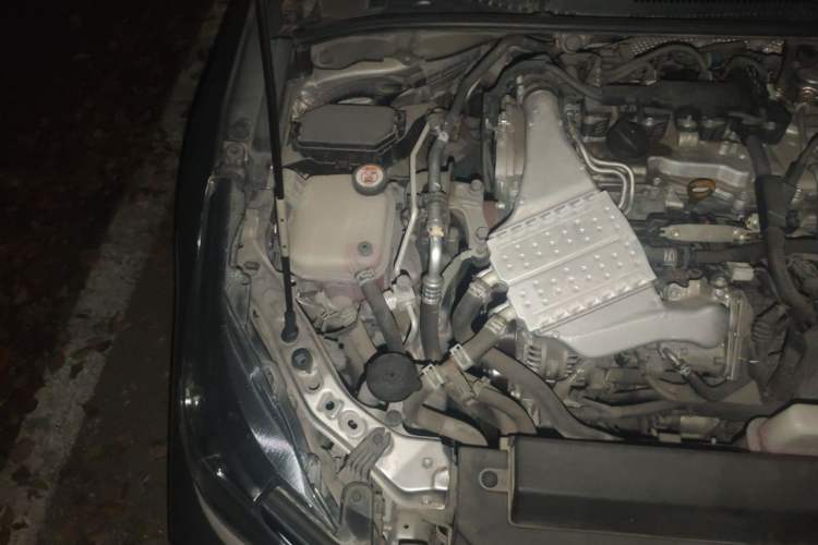 Used Toyota Corolla 2019 1.2T S-CVT GL-i Elite Edition Engine Bay Right