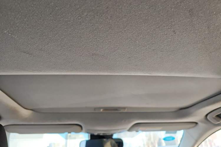 Used Toyota Corolla 2019 1.2T S-CVT GL-i Elite Edition Headliner