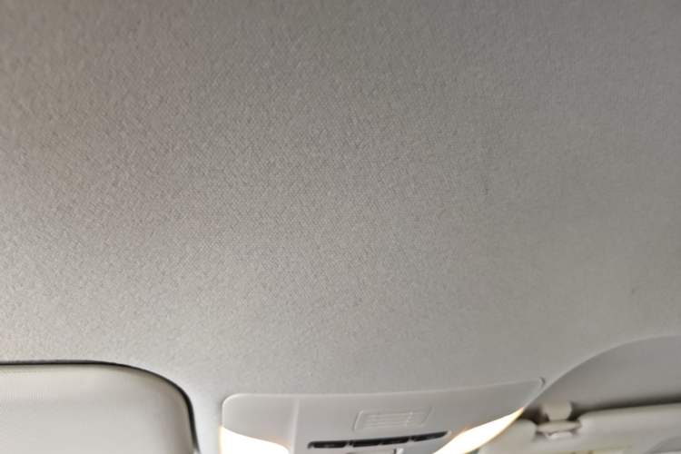 Used Toyota Corolla 2019 1.2T S-CVT GL Pioneer Edition Headliner